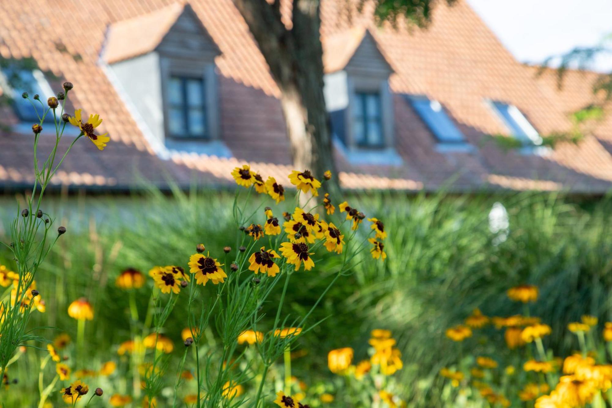 Le Cap Hornu Hotel Saint-Valery-sur-Somme Exterior photo
